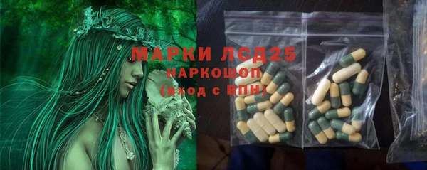 крисы Осташков