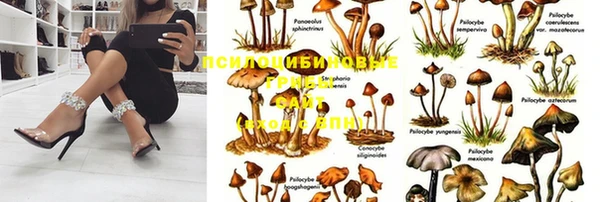 кокаин перу Алексеевка