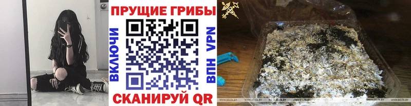 Галлюциногенные грибы GOLDEN TEACHER  где найти наркотики  Новоалтайск 