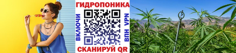 закладка  Новоалтайск  Марихуана планчик 